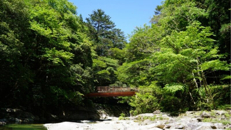 きれいな山